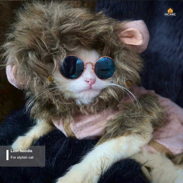 Cat lion hoodie 5 kg - Image 3