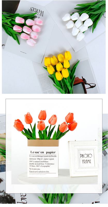 Tulip Flower