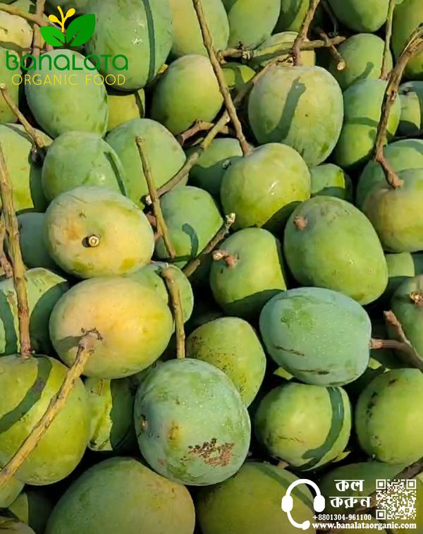 গোপালভোগ আম ১২ কেজি পয়েন্ট ডেলিভারি - Image 2