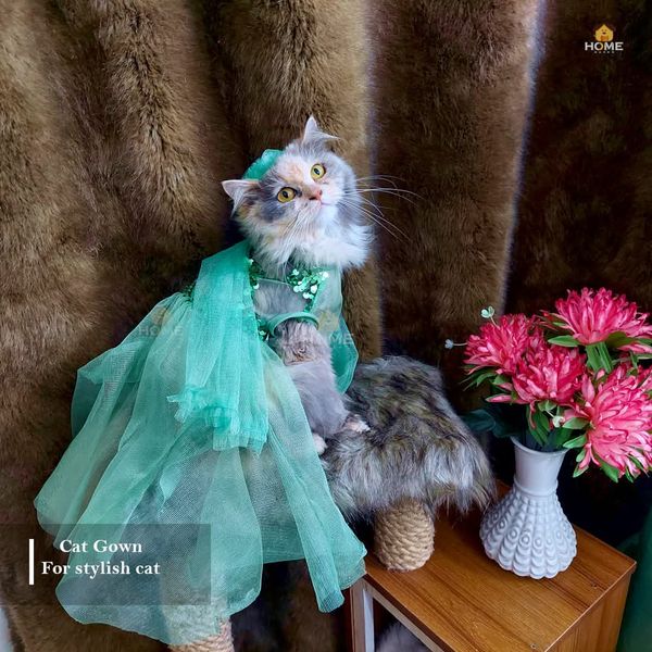 cat lehenga (4 kg)