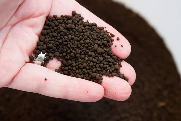 ADA Amazonia Soil V2  (1 kg repack)