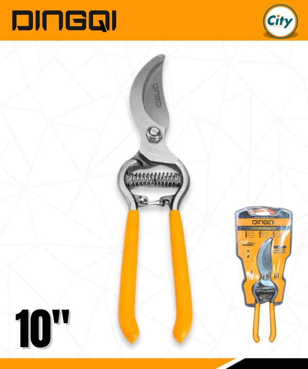 ১০ ইঞ্চি গার্ডেন সিসরস গাছের ডাল ছাঁটাই করা কাঁচি DINGQI ART44210