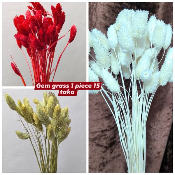 gem grass
