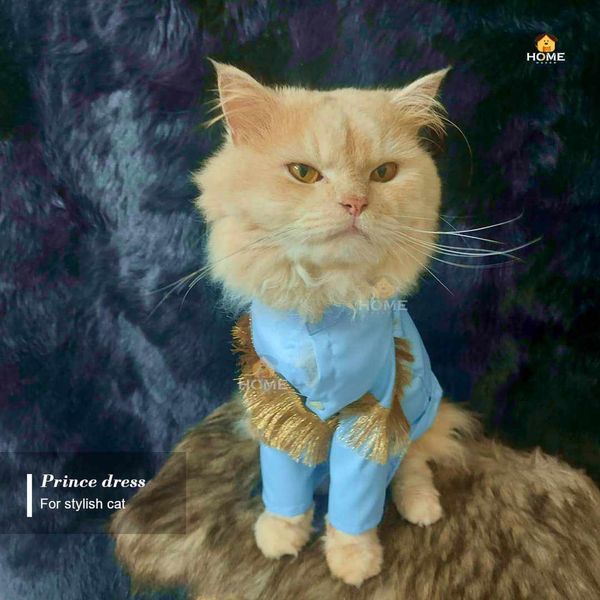 Prince shirt
