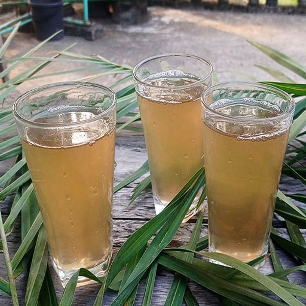 যশোরের যশ খেজুরের রস | কৃষি ও সেবা