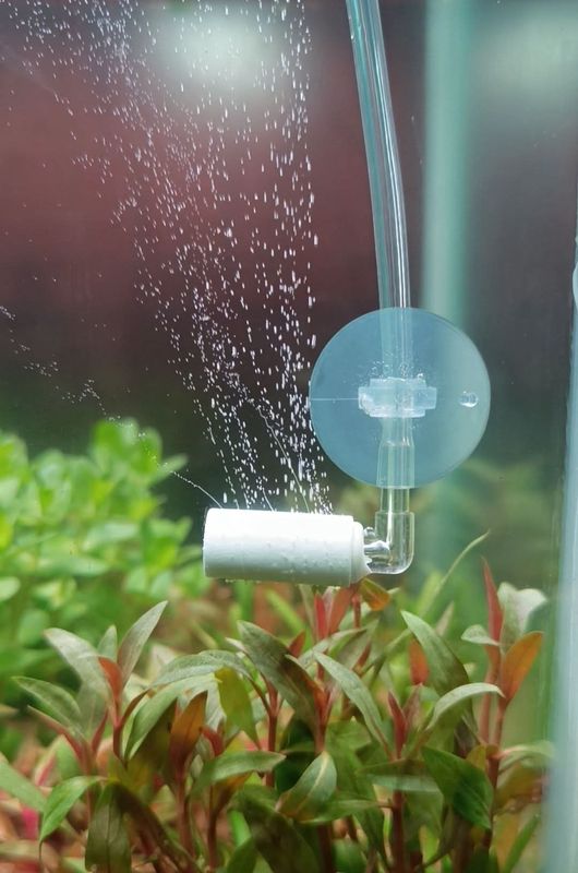 mini Co2 diffuser with suction cup
