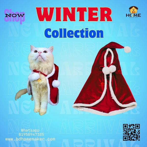 cat chenta cape