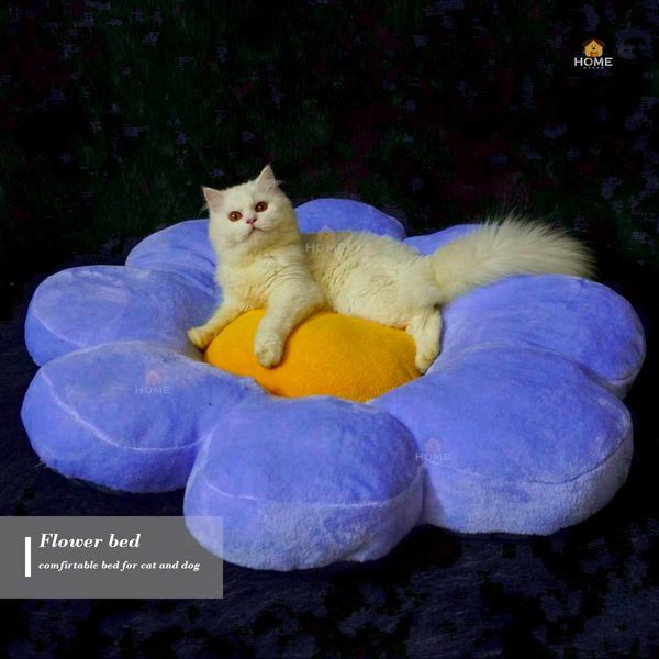 Cat flower bed