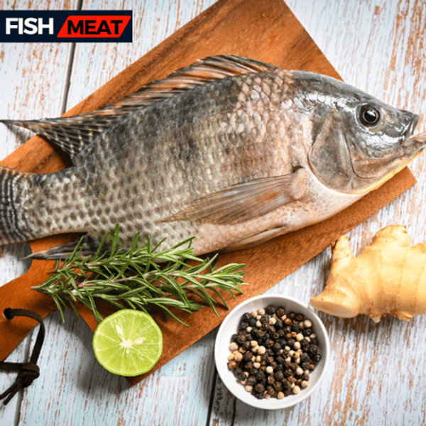 Telapia Big -01 Pcs -01 Kg