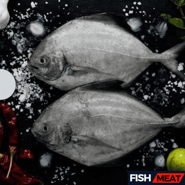 Black Pomfret( 3-4 Pcs Kg)-1 kg