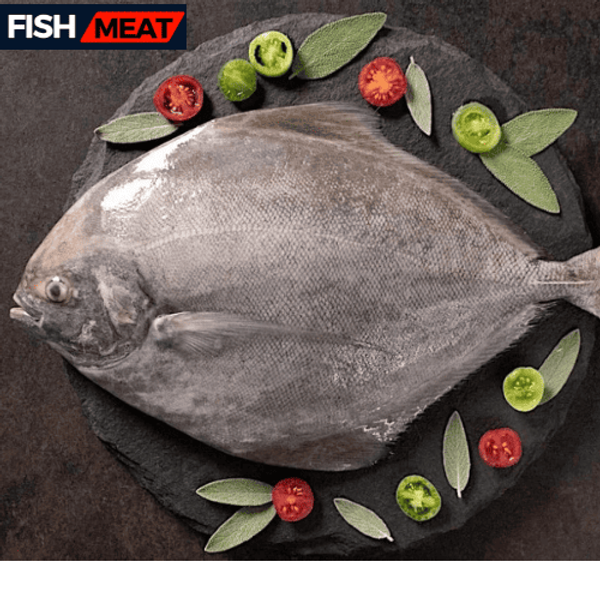 Black Pomfret( 01 Pcs Kg+) -1 kg
