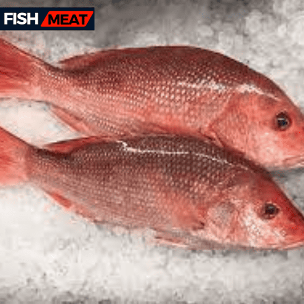 Red Snapper - For Bar-B-Que(400gm- 500 gm)- 1 kg