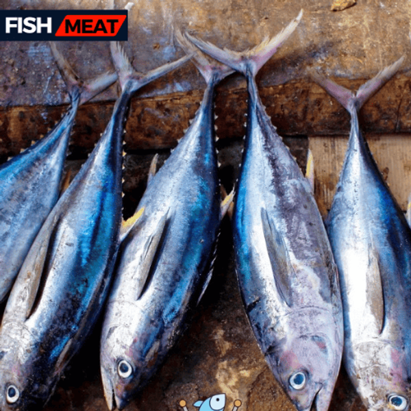Sea Tuna Fish-1 kg