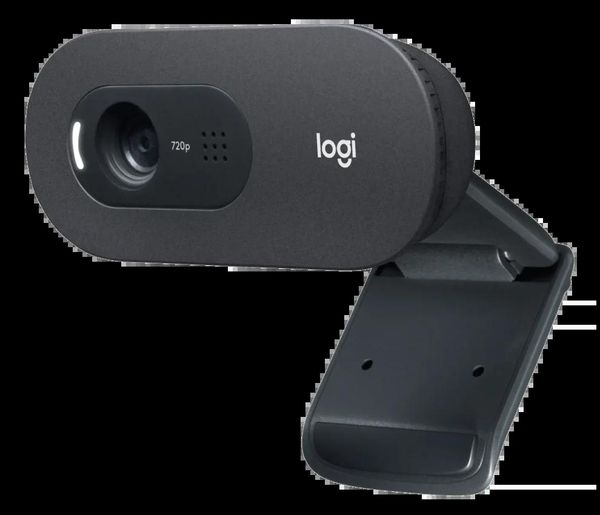Logitech C505 High-Definition Webcam