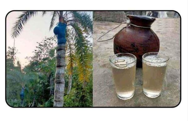 খেজুরের রস ৫ লিটার