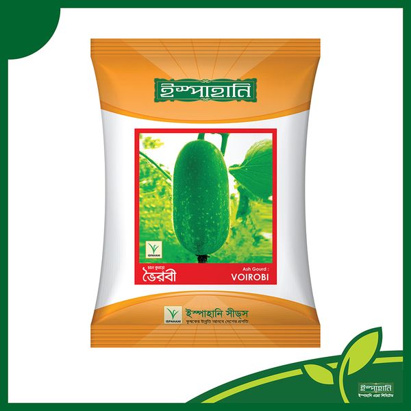 দেশি ওপি চাল কুমড়া বীজ ভৈরবী । OP Ash Gourd Seeds Voyrobi