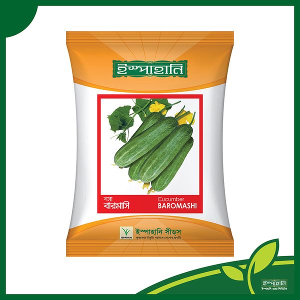 বারোমাসি শশার বীজ । Baromashi Cucumber seeds