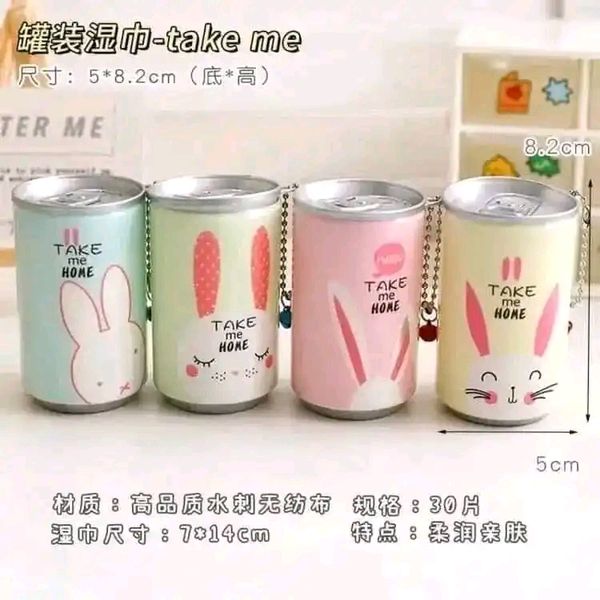 Hello Take Me Home Can Tissue (Wet Wipes)