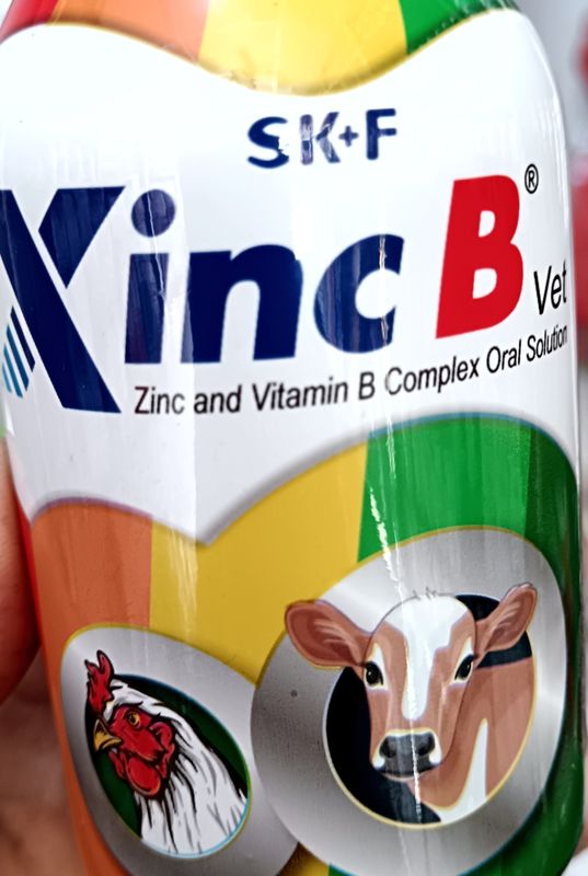 Xinc B Vet s 200ml