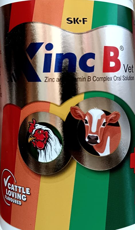 Xinc B Vet s 500ml