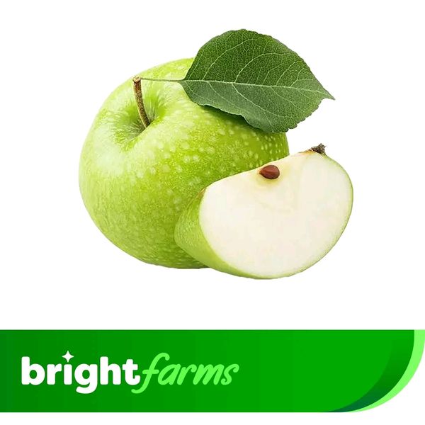 brightfarms Green Apple South African 1 Piece 110 -120g