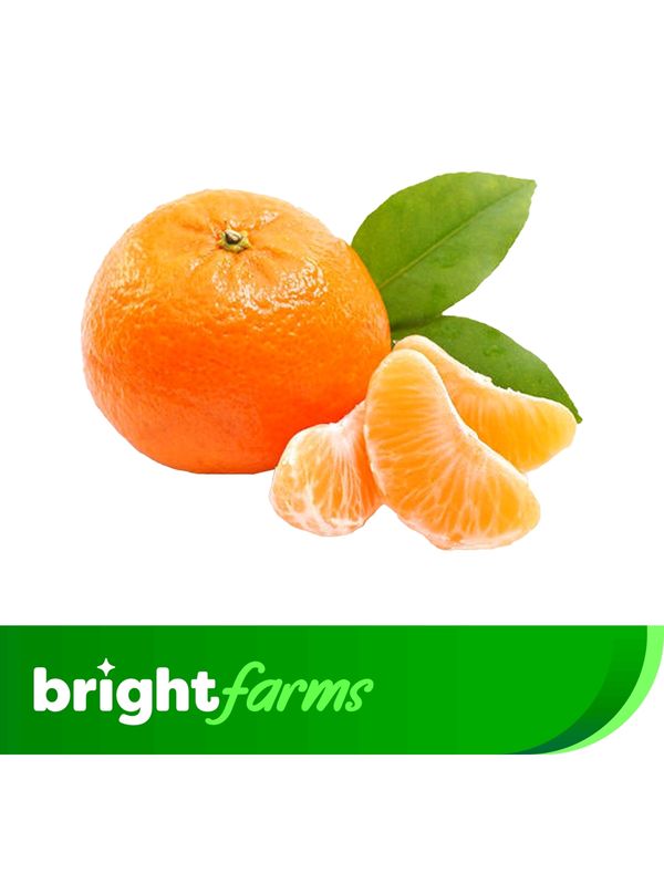 brightfarms Orange South (Komola) 1kg (+30g)