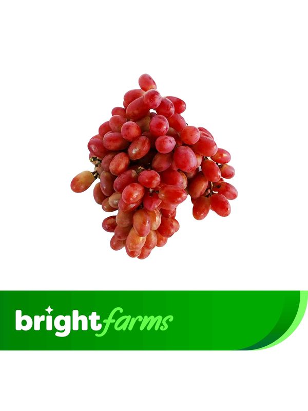 brightfarms China Orange 800g ± 50g