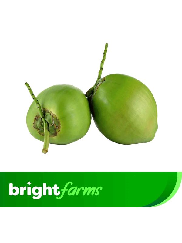brightfarms Big Green Coconut 1 Piece