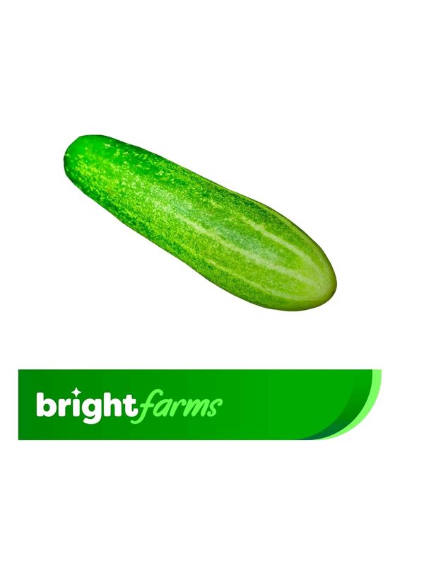 brightfarms Hybrid Cucumber (Shosha) 500g (+20g)