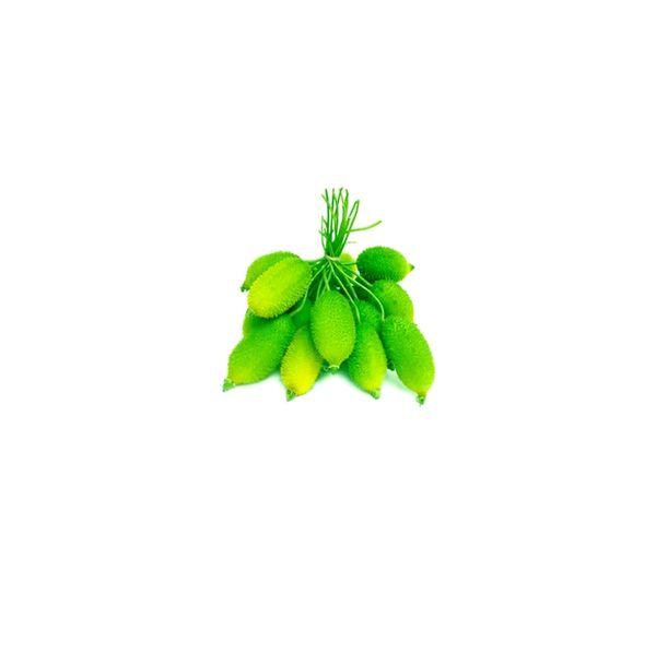 Teasel Gourd (Kakrol) 500g (±5%)