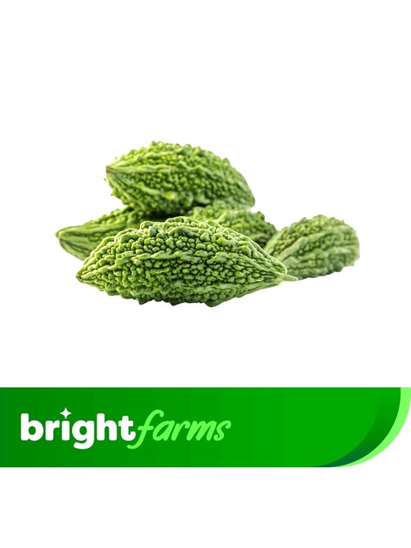 brightfarms Small Bitter Gourd (Usta) 500g (±5%)