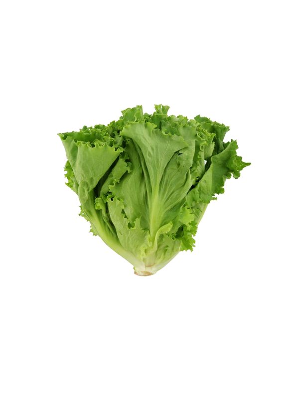 Lettuce 100g (±10g)