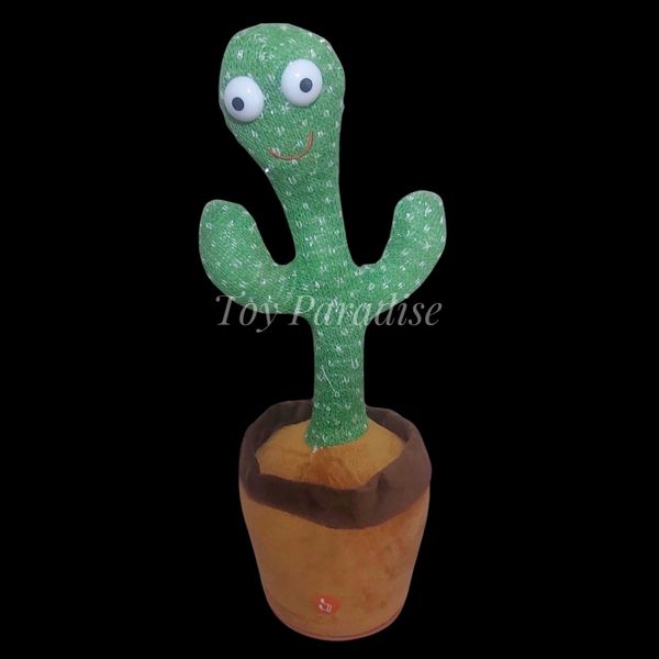 Talking Cactus