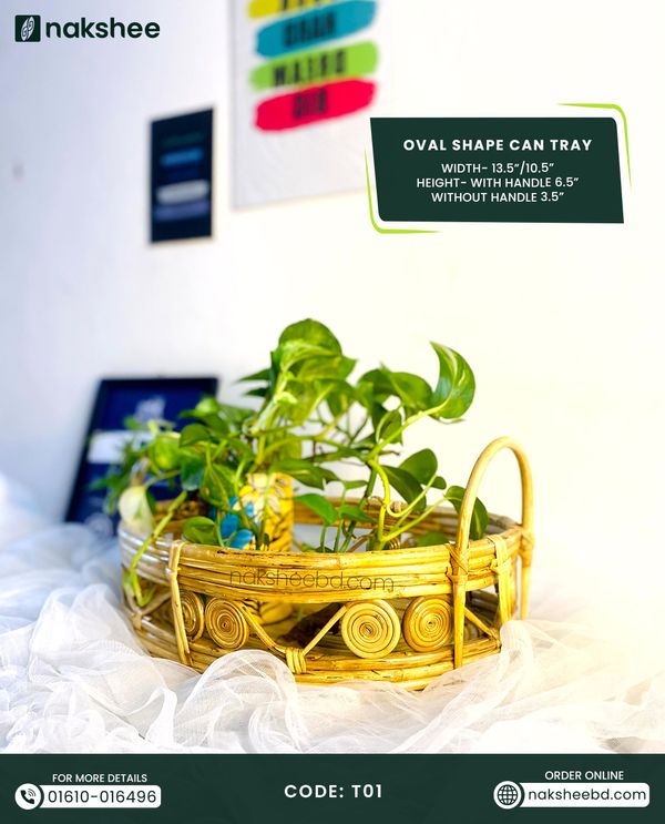 Cane Tray (T01)