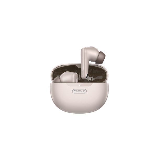 TWS Bluetooth Earbuds B30