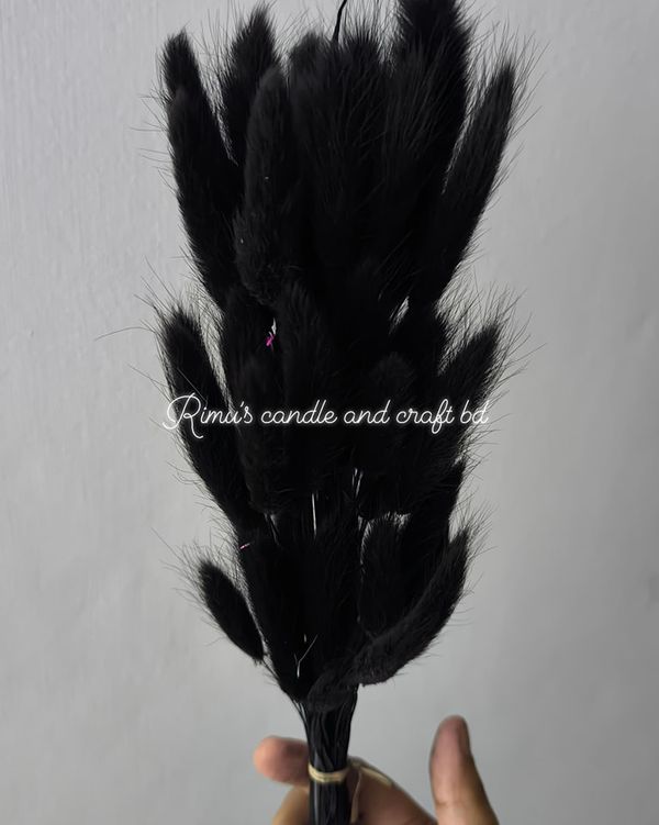 bunny tail driyed flower - Image 2