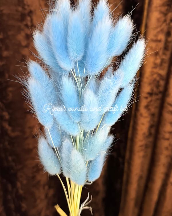bunny tail driyed flower - Image 4