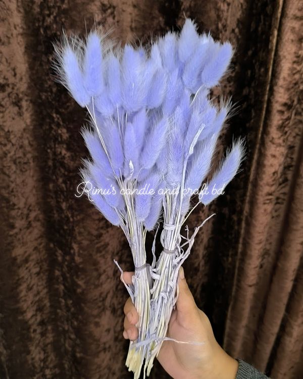 bunny tail driyed flower - Image 6