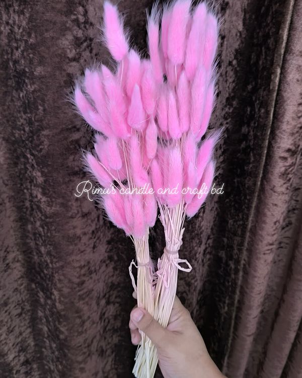 bunny tail driyed flower - Image 7