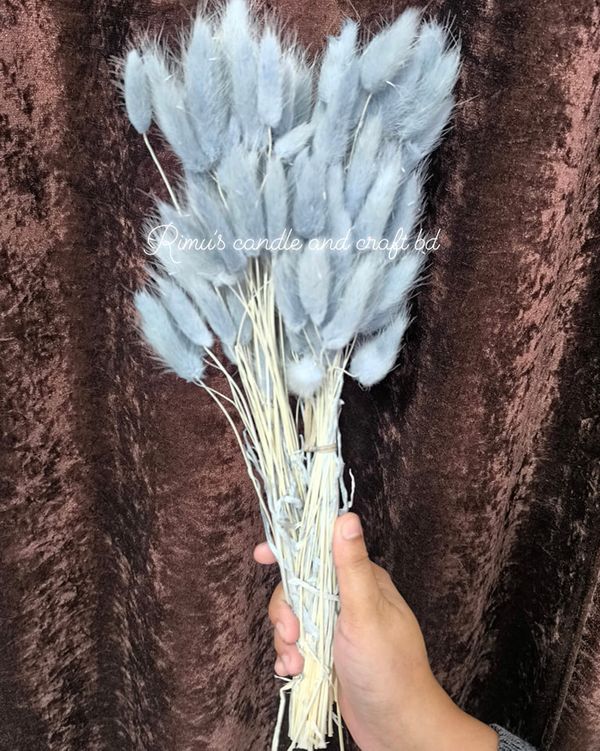 bunny tail driyed flower - Image 8