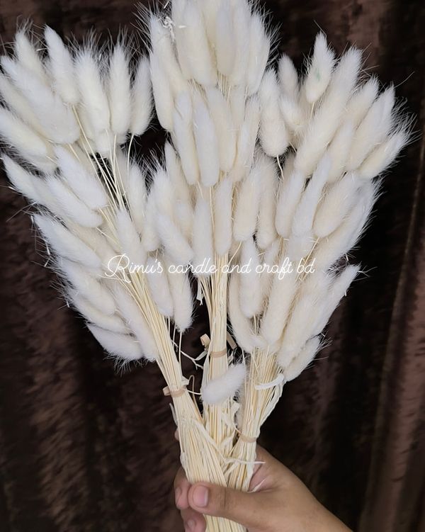 bunny tail driyed flower - Image 9
