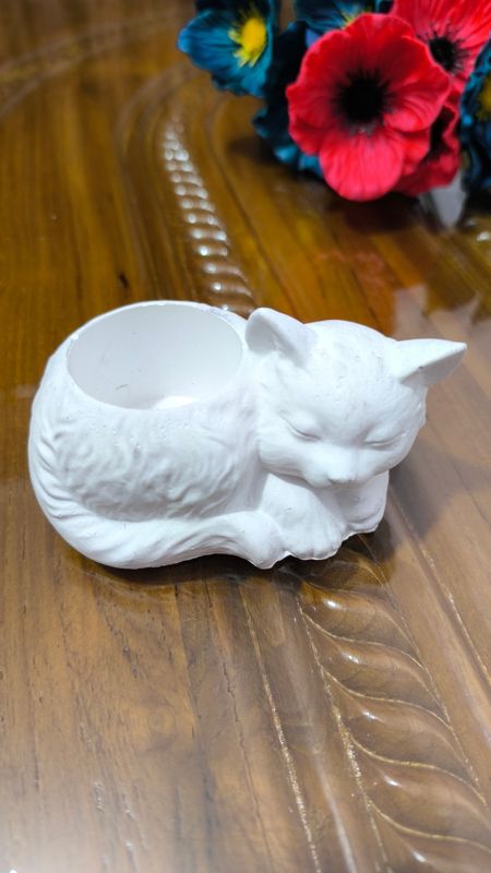 cat plant pot