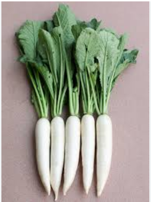 হাইব্রিড কোরিয়ার জাতের মূলার বীজ । Hybrid Korean radish seeds.