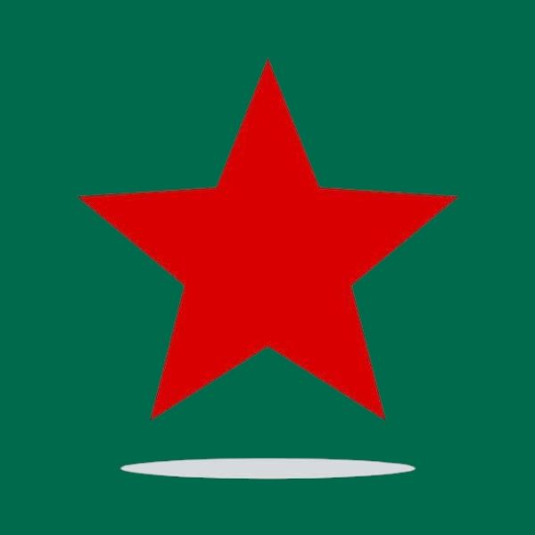 Facebook Stars