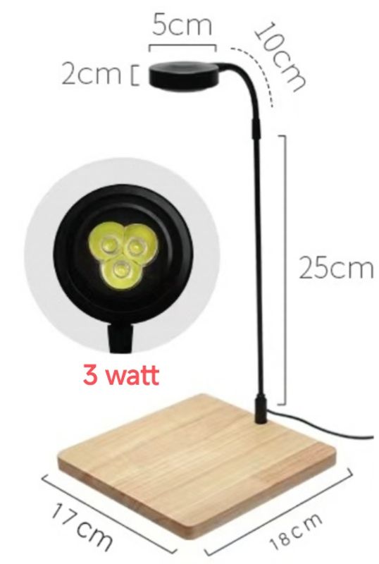 board light