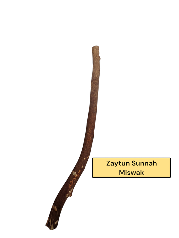 Zaytun sunnah Miswak