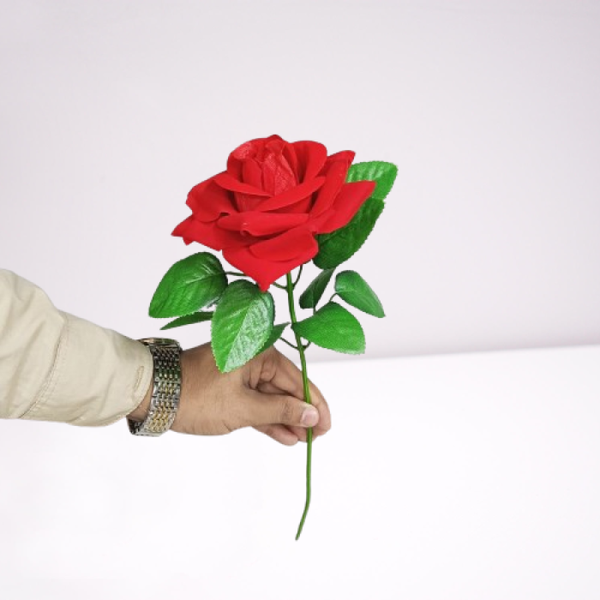 valentine's day Gift Rose Flower
