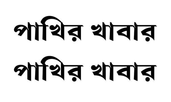 পাখির খাবার