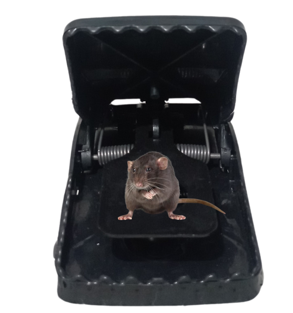 Mouse Killer Trap (5×3×3 inches)