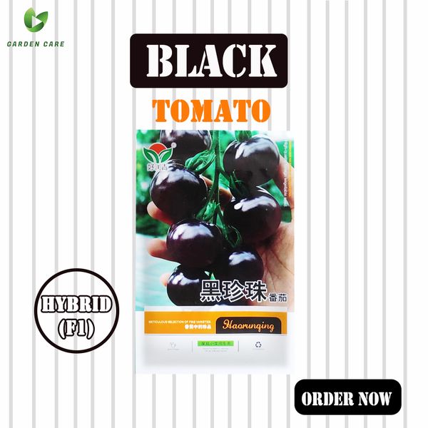 Hybrid (F1) Black Tomato (টমেটো) Seeds
